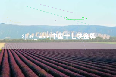 慈利中国十七块金牌