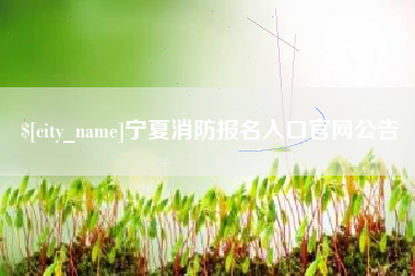 慈利宁夏消防报名入口官网公告