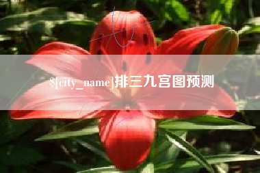 慈利排三九宫图预测