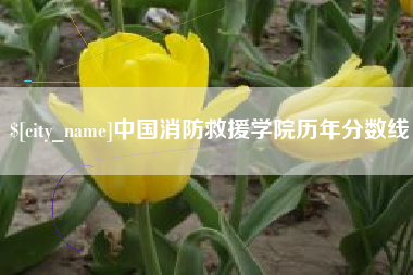 慈利中国消防救援学院历年分数线