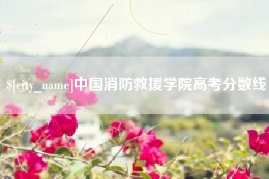 慈利中国消防救援学院高考分数线