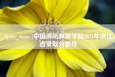 慈利中国消防救援学院2021年浙江省录取分数线