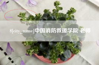 慈利中国消防救援学院 老师