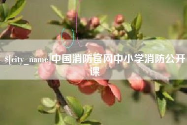 慈利中国消防官网中小学消防公开课