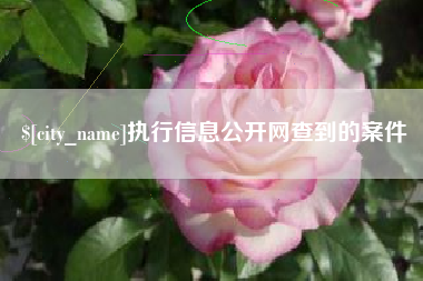 慈利执行信息公开网查到的案件