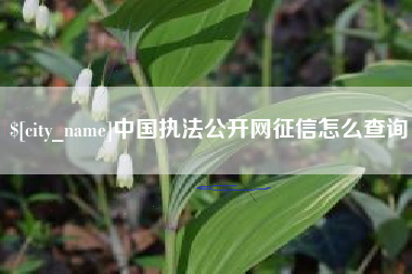 慈利中国执法公开网征信怎么查询