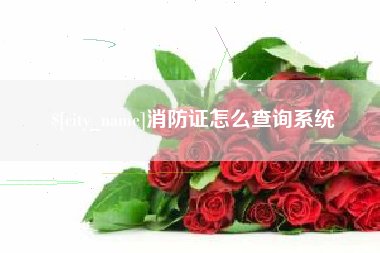 慈利消防证怎么查询系统