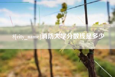 慈利消防大学分数线是多少