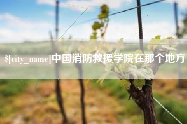 慈利中国消防救援学院在那个地方
