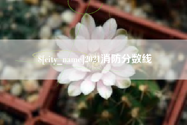 慈利2021消防分数线