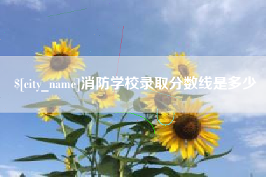 慈利消防学校录取分数线是多少