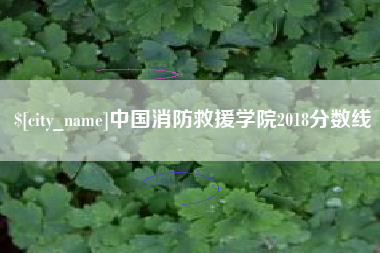 慈利中国消防救援学院2018分数线