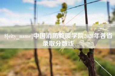 慈利中国消防救援学院2020年各省录取分数线