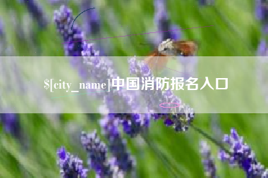 慈利中国消防报名入口