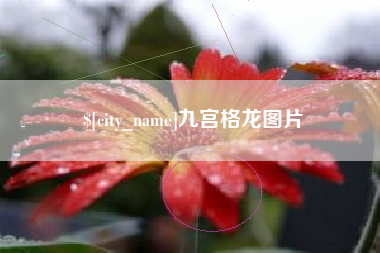慈利九宫格龙图片