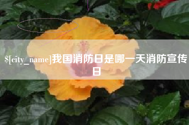 慈利我国消防日是哪一天消防宣传日