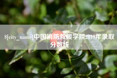 慈利中国消防救援学院2019年录取分数线