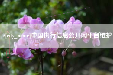 慈利中国执行信息公开网平台维护