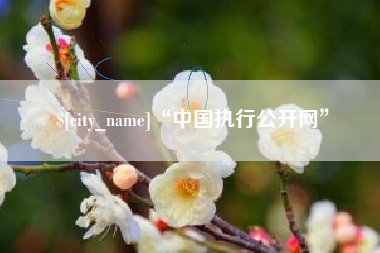 慈利“中国执行公开网”