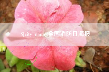 慈利全国消防日海报