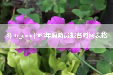 慈利2025年消防员报名时间表格