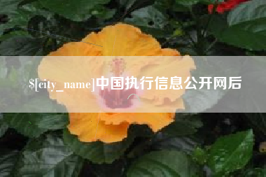 慈利中国执行信息公开网后