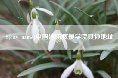 慈利中国消防救援学院具体地址