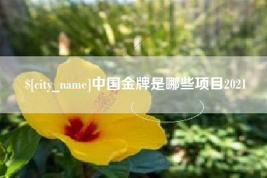 慈利中国金牌是哪些项目2021
