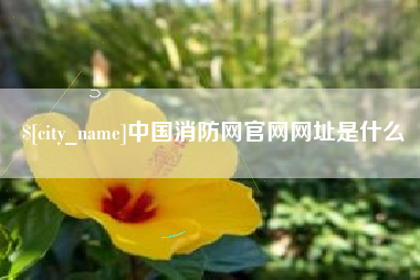 慈利中国消防网官网网址是什么
