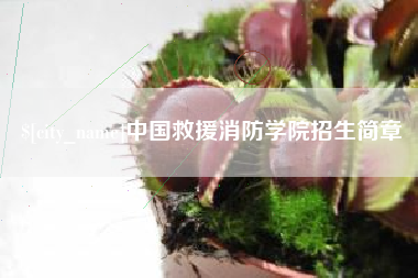 慈利中国救援消防学院招生简章