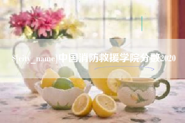 慈利中国消防救援学院分数2020