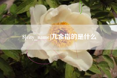 慈利九金指的是什么