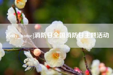 慈利消防日全国消防日主题活动