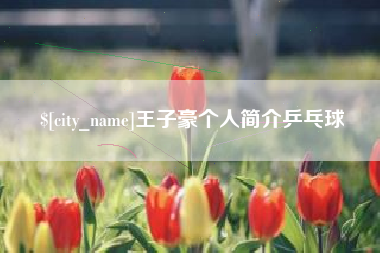 慈利王子豪个人简介乒乓球