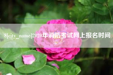 慈利2020年消防考试网上报名时间