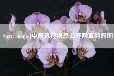 慈利中国执行信息公开网真的假的