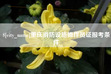 慈利重庆消防设施操作员证报考条件