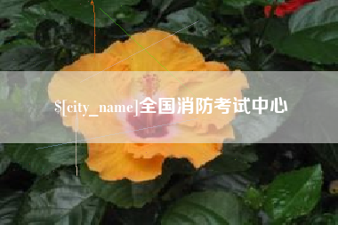 慈利全国消防考试中心