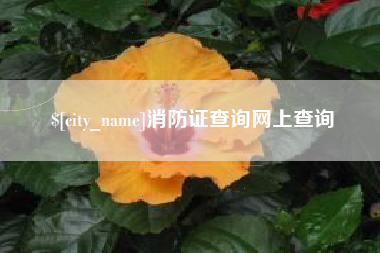 慈利消防证查询网上查询