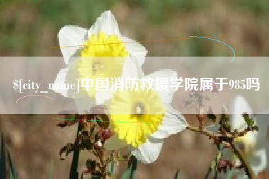 慈利中国消防救援学院属于985吗