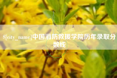 慈利中国消防救援学院历年录取分数线