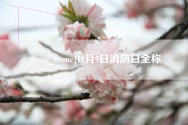 慈利11月9日消防日全称