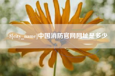 慈利中国消防官网网址是多少