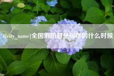 慈利全国消防日是每年的什么时候