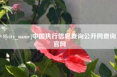 慈利中国执行信息查询公开网查询官网