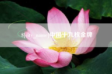 慈利中国十九枚金牌