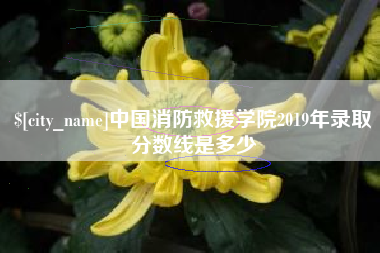 慈利中国消防救援学院2019年录取分数线是多少