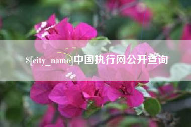 慈利中国执行网公开查询