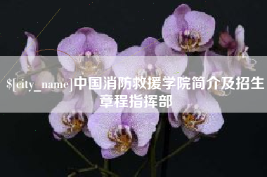 慈利中国消防救援学院简介及招生章程指挥部