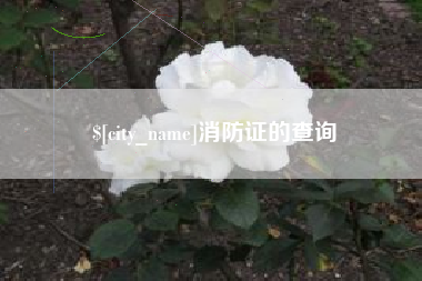 慈利消防证的查询